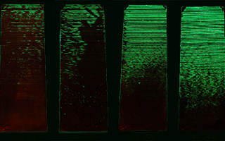 AMS 2644 Penetrant Sensitivity Levels AMS 2644 Penetrant Sensitivity Levels